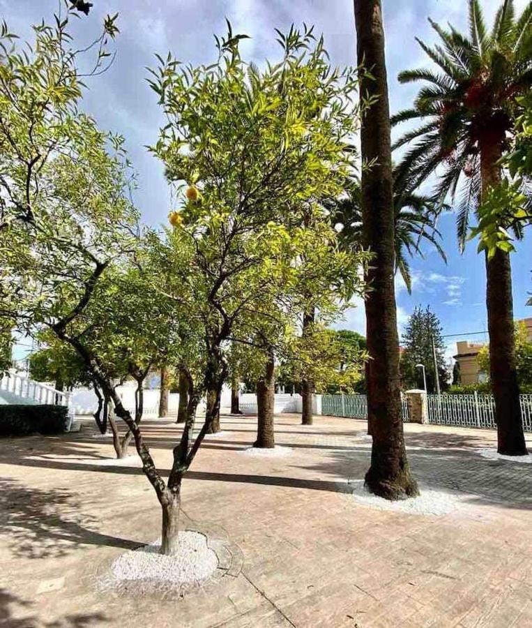 Nuevo Los Almendros 204 Complejo Turistico Apartment Кордоба Екстериор снимка
